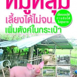 หมูหลุม เลี้ยงได้ไม่จน...เพิ่มตังค์ในเป๋า
