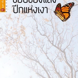 ขอบของแสง ปีกแห่งเงา