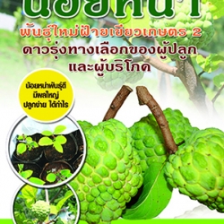 น้อยหน่าพันธุ์ใหม่ ฝ้ายเขียวเกษตร 2