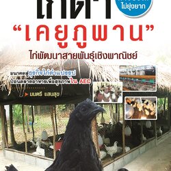 หนังสือไก่ดำ "เคยูภูพาน" ไก่พัฒนาสายพันธุ์เชิงพาณิชย์