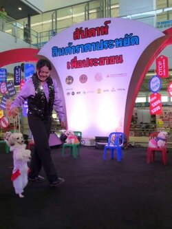 สุนัขแสนรู้ Dog Show