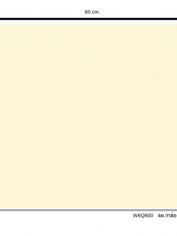 W6ฺQ600 ขัดมันครีมนาโน (ขนาด60x60) (4แผ่น/กล่อง) (1.44 ตร.ม./กล่อง)