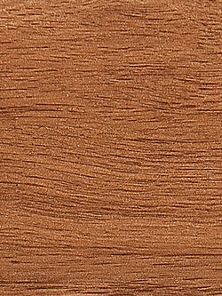 TT95509-10 California Wild 15x90 (10ผ/ก)