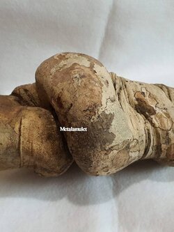 ไม้ชองระอา