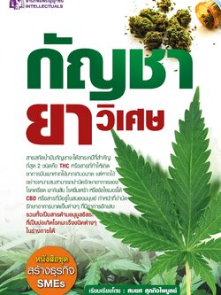 กัญชายาวิเศษ - ปัญญาชน - panyachondist