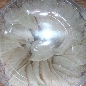 รังนกแห้งทางใต้ 燕窝干