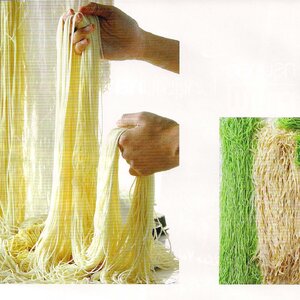 เส้นบะหมี่ Noodle