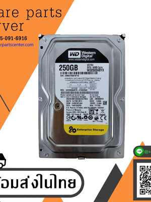 Western Digital 250GB SATA /64MB cache Desktop HDD Hard Drive // WD2503ABYX (Used) // สินค้ารับประกัน โดย บริษัท อะไหล่เซิร์ฟเวอร์ จำกัด