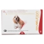 REVOLUTION 120 mg (selamectin) for Dogs 10.1 - 20 kg เรฟโวลูชั่น ยาหยดสำหรับสุนัข น้ำหนัก 10.1 - 20 กก.