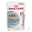 Royal canin hairball care pouch in gravy อาหารเปียกสำหรับแมวโต สูตรลดก้อนขน 85 กรัม (ซื้อครบ 3 ซอง ลดเหลือ 100 บ.)