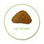 Royal canin hairball care 400 g อาหารเม็ดสำหรับแมวโต ป้องกันการเกิดก้อนขน ขนาด 400 ก.