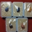 แมลงภู่คำ รุ่น ทรัพย์ภมร เนื้อสัมฤทธิ์ ไพลิน สีฟ้า ขนาด กว้าง 0.9 cm.*สูง1.4cm.