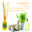 กลิ่นตะไคร้ Lemongrass