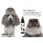 Doggy Potion Ear Cleaner โลชั่นล้างหูสำหรับสุนัขและแมว ขนาด 120 ml