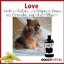 Puppy Potion Love Shampoo 500 ml แชมพูสารสกัดธรรมชาติ 100% กลิ่น Love 500 มล.