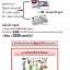 ศูนย์กระจายสินค้าแบบ MLM