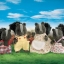 ครอบครัวซิลวาเนียน สกั๊งค์ 4 ตัว (UK) Sylvanian Families Skunk Family
