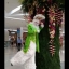 ตัวตลกขายาว Clown Stilt Walkers