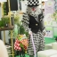 โบโซ่ ตัวตลก Clown & Bozo