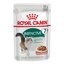 Royal canin instinctive 7+ pouch in gravy อาหารเปียกสำหรับแมวโตอายุ 7 ปีขึ้นไป ในน้ำเกรวี่ ขนาด 85 กรัม