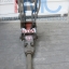 HYDRAULIC BREAKER NPK หัวเจาะไฮโดรลิค H3XA,H4XE,H7XA
