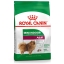 Royal canin Indoor adult สำหรับสุนัขโตเลี้ยงในบ้านพันธุ์เล็ก อายุ 10 เดือนถึง 8 ปี ขนาด 500 กรัม