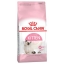 Royal canin kitten 400 g อาหารเม็ดสำหรับลูกแมว อายุ 4 ถึง 12 เดือน ขนาด 400 กรัม