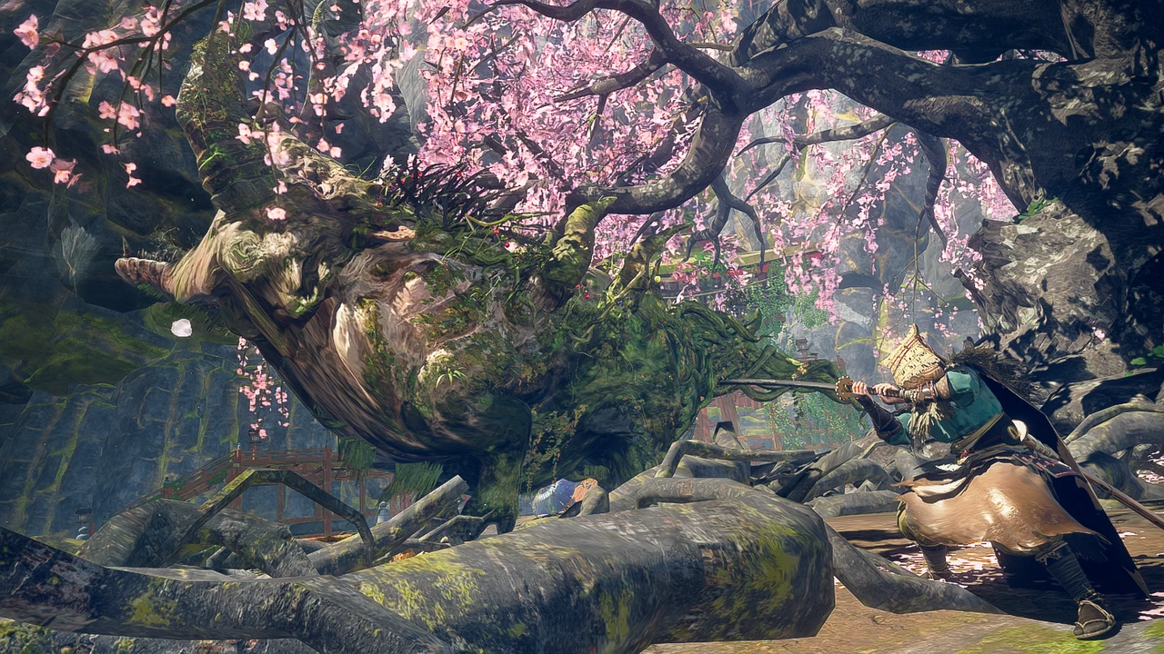 Switch 2- Wild Hearts S