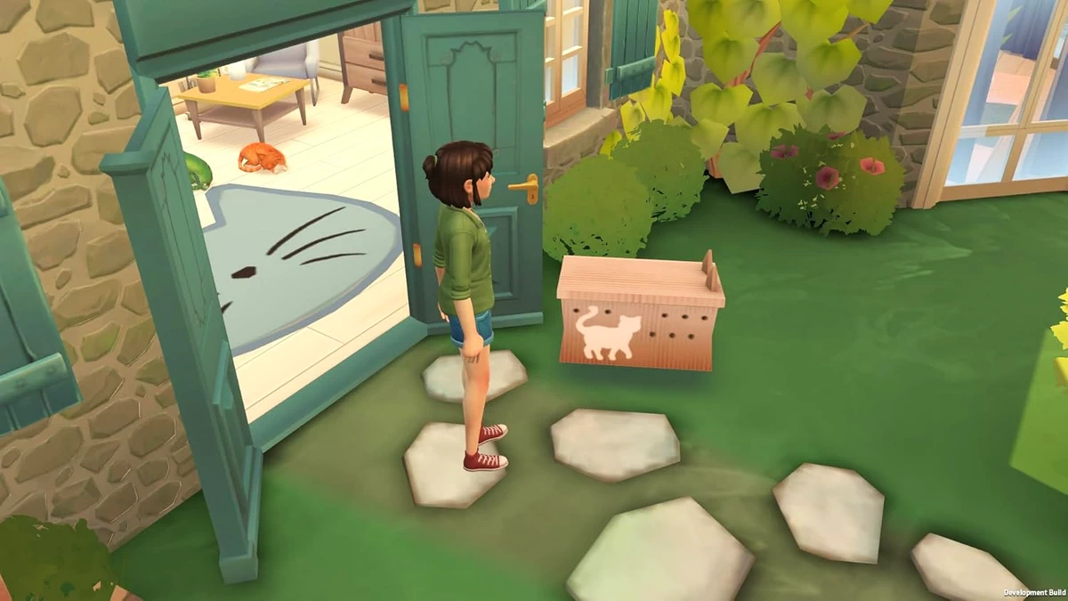 Switch- Cat Rescue Story