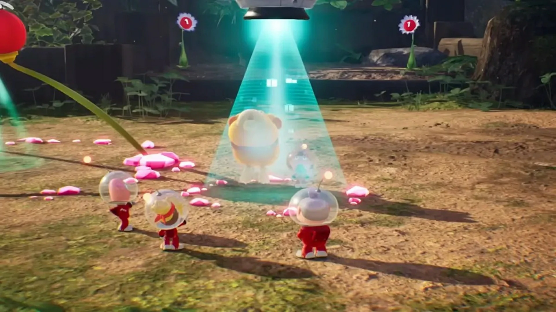 Switch- Pikmin 4